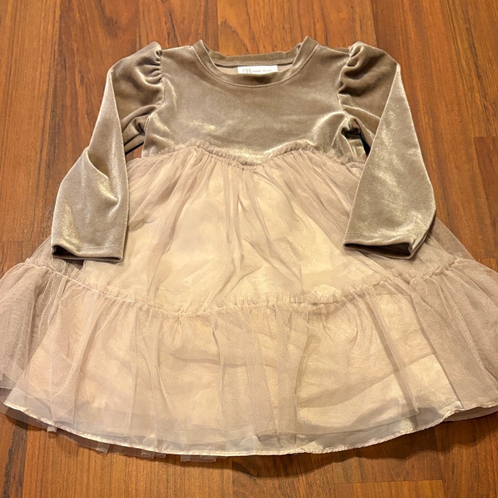 3t Bonnie Jean Velvet & Tulle Girls Dress in Dusty Rose